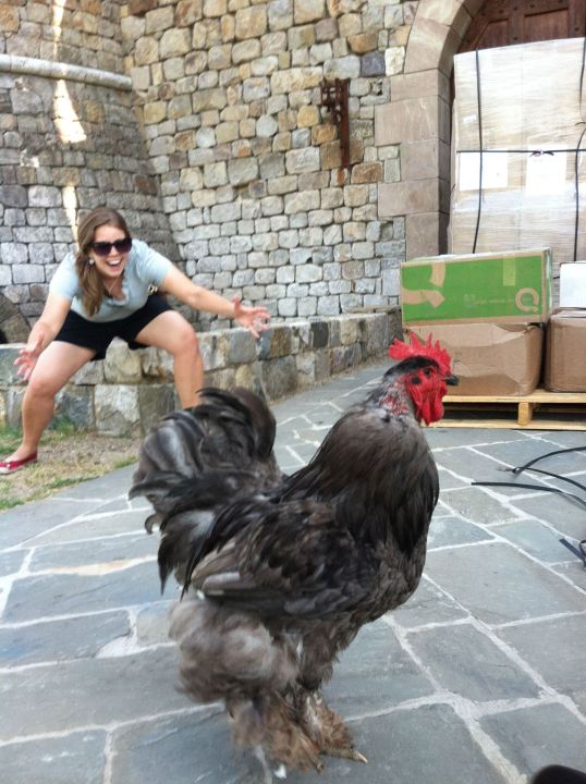 Julia and the rooster